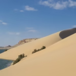 Fayum Oasis: The Perfect Daytrip from Cairo!