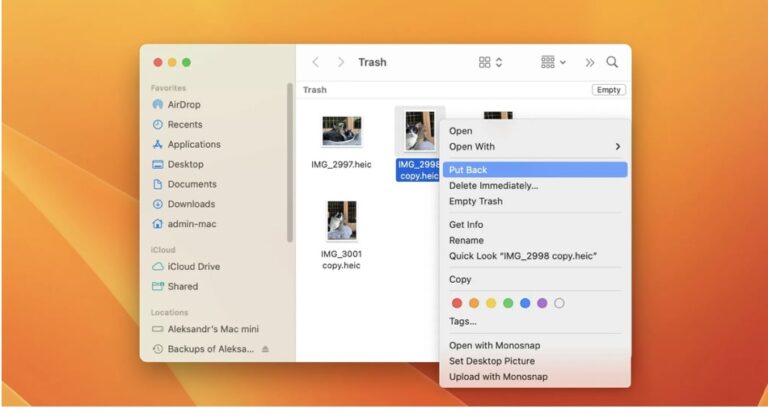 Where to Find Recently Deleted Files on Mac?